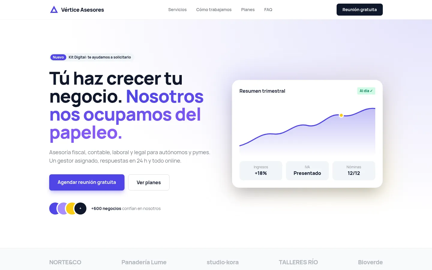 Vértice Asesores: Professional services landing page preview